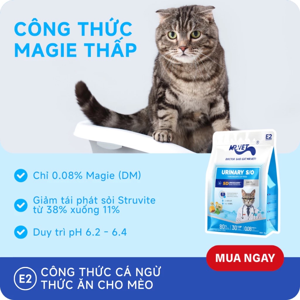 [MỚI] Hạt Cho Mèo Mr Vet E2 Gói 1KG Chuyên Chăm Sóc Tiết Niệu, 80% Đạm Từ Động Vật