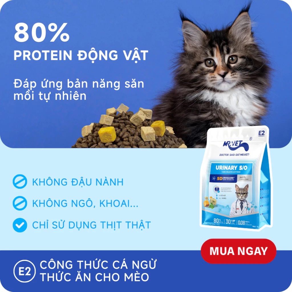 [MỚI] Hạt Cho Mèo Mr Vet E2 Gói 1KG Chuyên Chăm Sóc Tiết Niệu, 80% Đạm Từ Động Vật