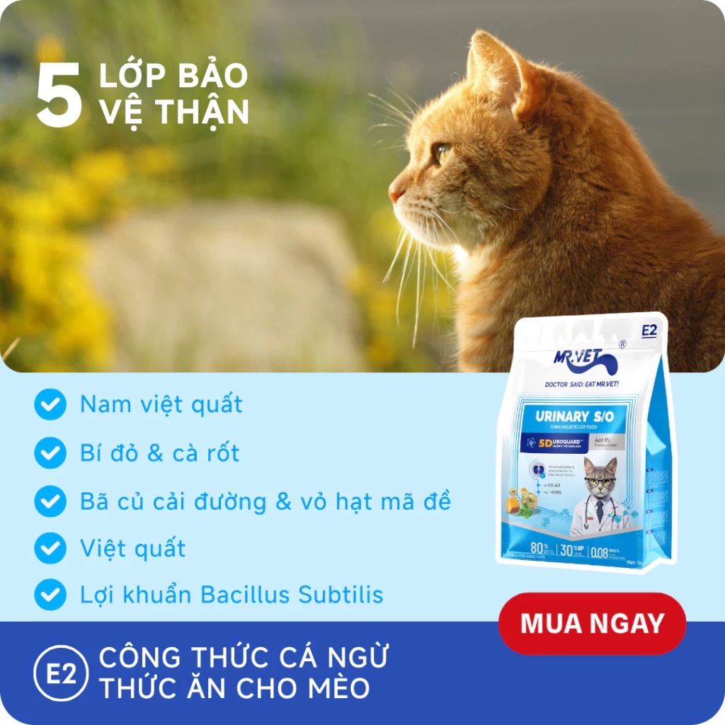 [MỚI] Hạt Cho Mèo Mr Vet E2 Gói 1KG Chuyên Chăm Sóc Tiết Niệu, 80% Đạm Từ Động Vật
