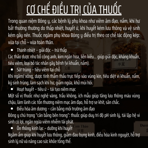 Đông Y Đông Cát Đường - Túi thảo dược ngâm phụ khoa - nấm, ngứa, khí hư, se khít, mùi hôi - 20 gói