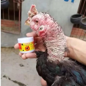 vua mốc cho gà(ưu việt)