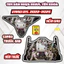 Tem Dán Nhựa Nhám VARIO 125 Đủ Đời 2022-2025 - Sticker Trang Trí Xe Máy Chống Bay Màu.