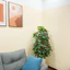 cây sơ ri (kim ngân lượng) cao 1m4 - cây giả decor
