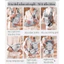 Địu em bé chống gù Aixintu Forbaby và Tunibaby cho bé 0-36 tháng