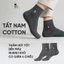 Set 2 đôi tất vớ nam công sở Bizmen cổ trung chất Cotton co giãn 4 chiều thấm hút tốt BSC001EDP02