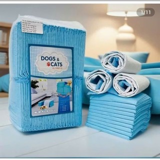 tã cho chó mèo đi vào chuồng