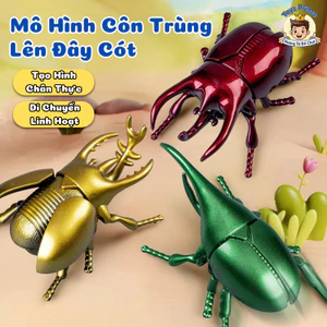 Mô Hình Côn Trùng Di Chuyển Dây Cót-Đồ Chơi Mô Hình Bọ Rùa, Bọ Cánh Cứng, Châu Chấu, Ong, Ve Sầu Chất Liệu Nhựa An Toàn