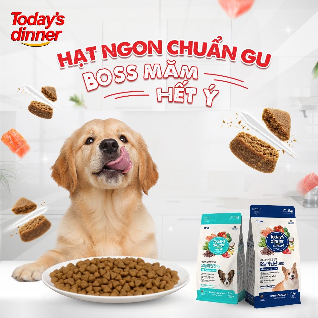 [5KG] Thức ăn hạt Cho Chó Nhỏ/ Chó Lớn/ Chó Mọi Lứa Tuổi Today's Dinner