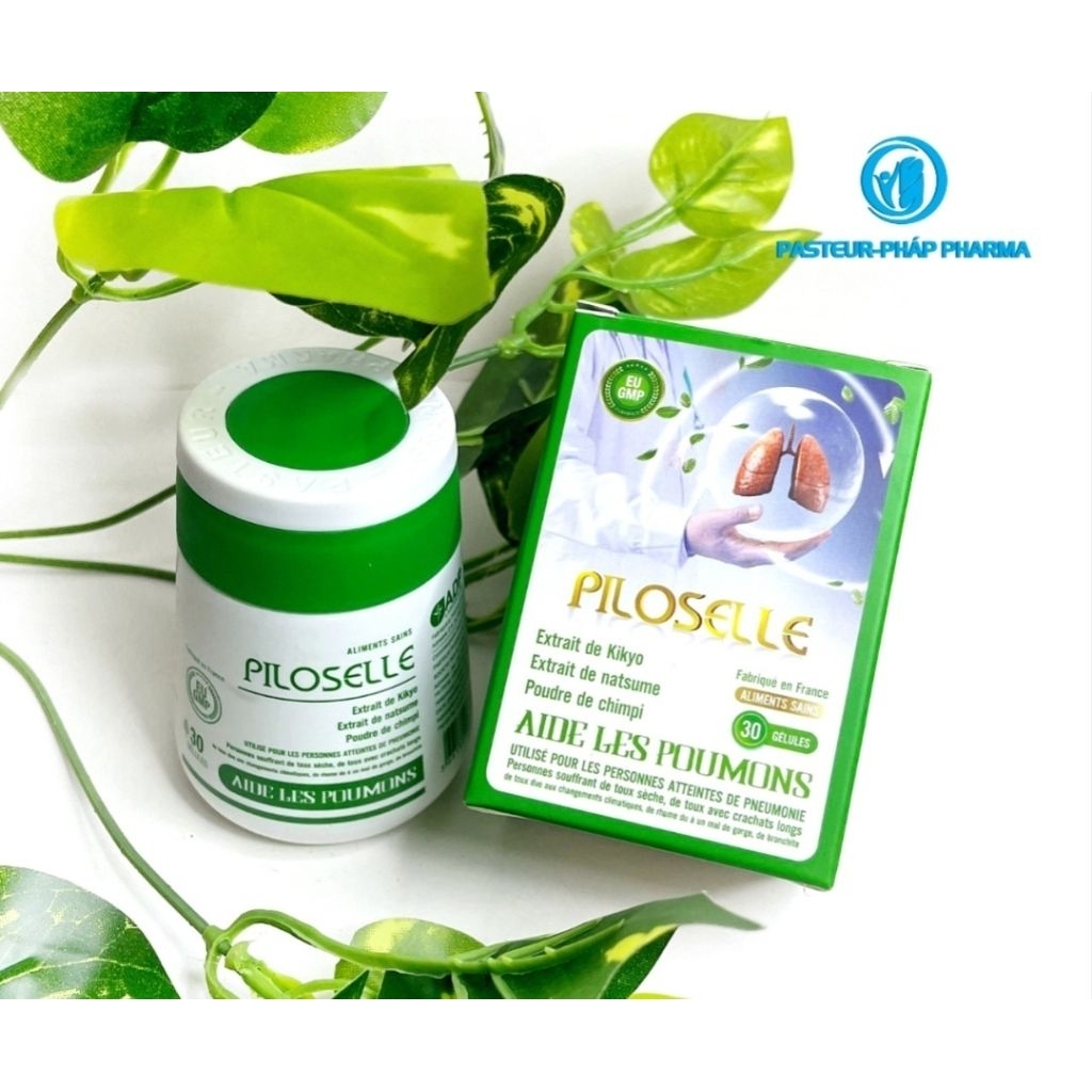 Viên uống giảm ho, giảm đờm đau rát họng viêm phế quản, lọc phổi PILOSELLE [ hộp 30 viên ]