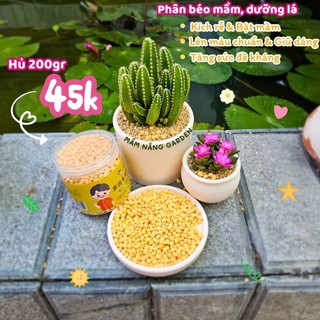 ​✨ Phân Bón Tan Chậm "Béo Mầm" [Hũ 200g] - Kích Rễ, Bật Mầm, Lên Màu Chuẩn Cho Sen Đá & Xương Rồng - MẦM NẮNG GARDEN ✨