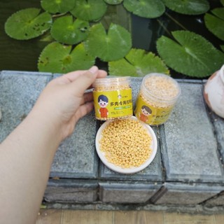 ​✨ Phân Bón Tan Chậm "Béo Mầm" [Hũ 200g] - Kích Rễ, Bật Mầm, Lên Màu Chuẩn Cho Sen Đá & Xương Rồng - MẦM NẮNG GARDEN ✨