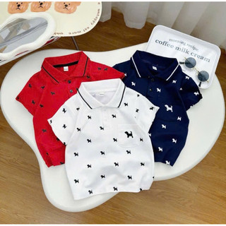 Áo Polo cho bé trai (10-45kg) chất Poly cá sấu đi học, đi chơi