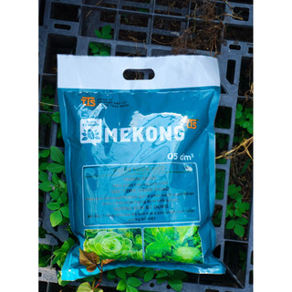 Phân Trùn Quế Mekong  Bón Lót Cây Trồng Hoa Cảnh Cây Ăn Quả