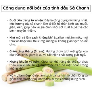 Tinh Dầu CHANH SẢ Xông Thơm Phòng - Bản Phối Giữa Vỏ Chanh, Sả Chanh và Oải Hương Đuổi Muỗi Ngủ Ngon