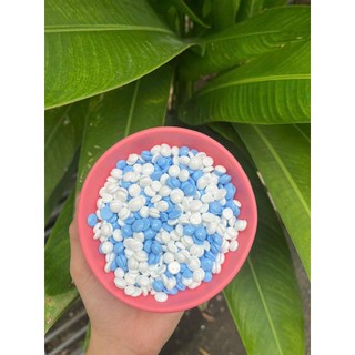 [Tặng chén+que] Hũ 500g sáp wax lông nóng tại nhà, dừa coconut dẻo thơm  an toàn cho mọi vùng da