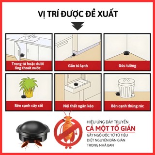 [Mẫu Mới] Thuốc Diệt Gián Sinh Học Nhật Bản - Hộp 12 Viên Diệt Gián Hiệu Quả Lâu Dài An Toàn Khi Sử Dụng