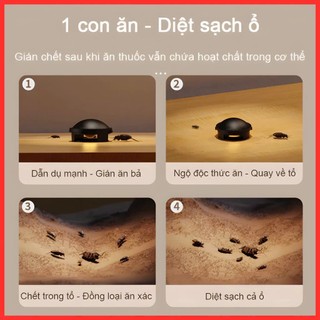 [Mẫu Mới] Thuốc Diệt Gián Sinh Học Nhật Bản - Hộp 12 Viên Diệt Gián Hiệu Quả Lâu Dài An Toàn Khi Sử Dụng