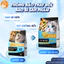 Hạt Cho Mèo S2 PET V2 Gói 1kg - 70% Topping Thịt Sấy, Hỗ Trợ Tiêu Hóa, Giảm Búi Lông