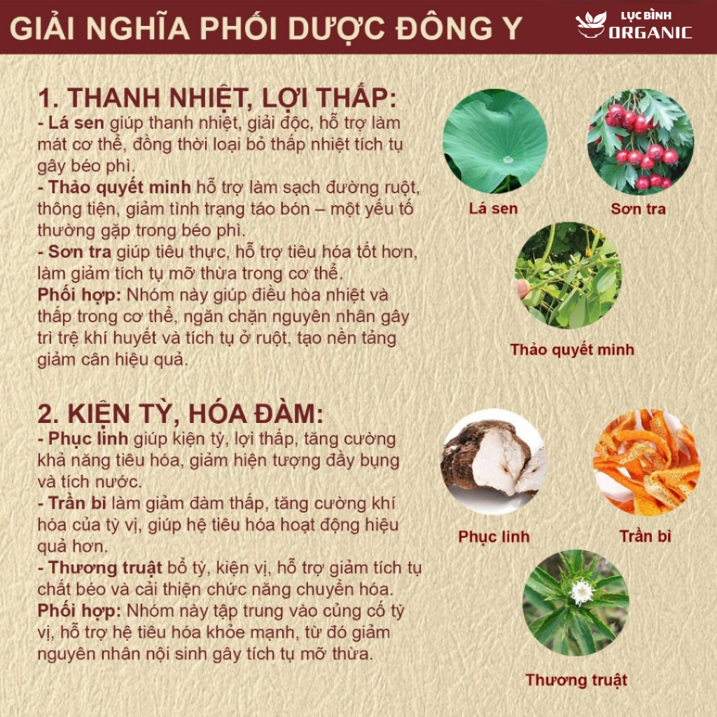 Trà Lá Nam - Thanh Lọc Cơ Thể, Giảm Đầy Hơi Chướng Bụng, Nhẹ Bụng Dễ Tiêu, Giữ Dáng Gọn Gàng, Bịch 30 Túi Lọc