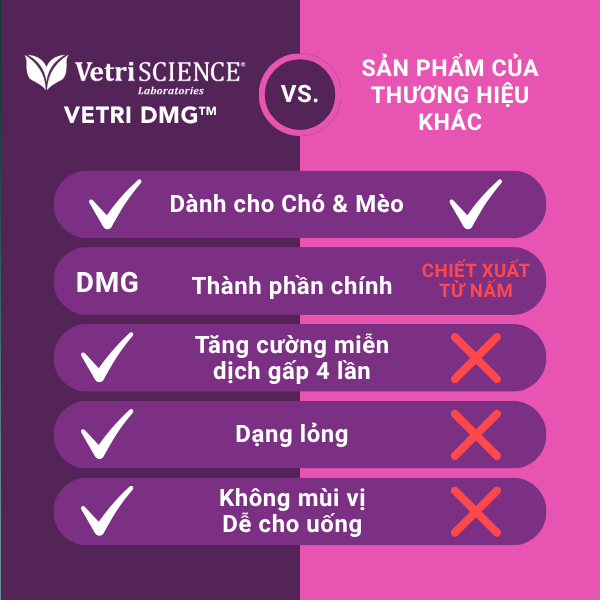 (SUPPLEMENT) DUNG DỊCH HỖ TRỢ MIỄN DỊCH&TĂNG SỨC BỀN CHO THÚ CƯNG VETRI DMG 30ML