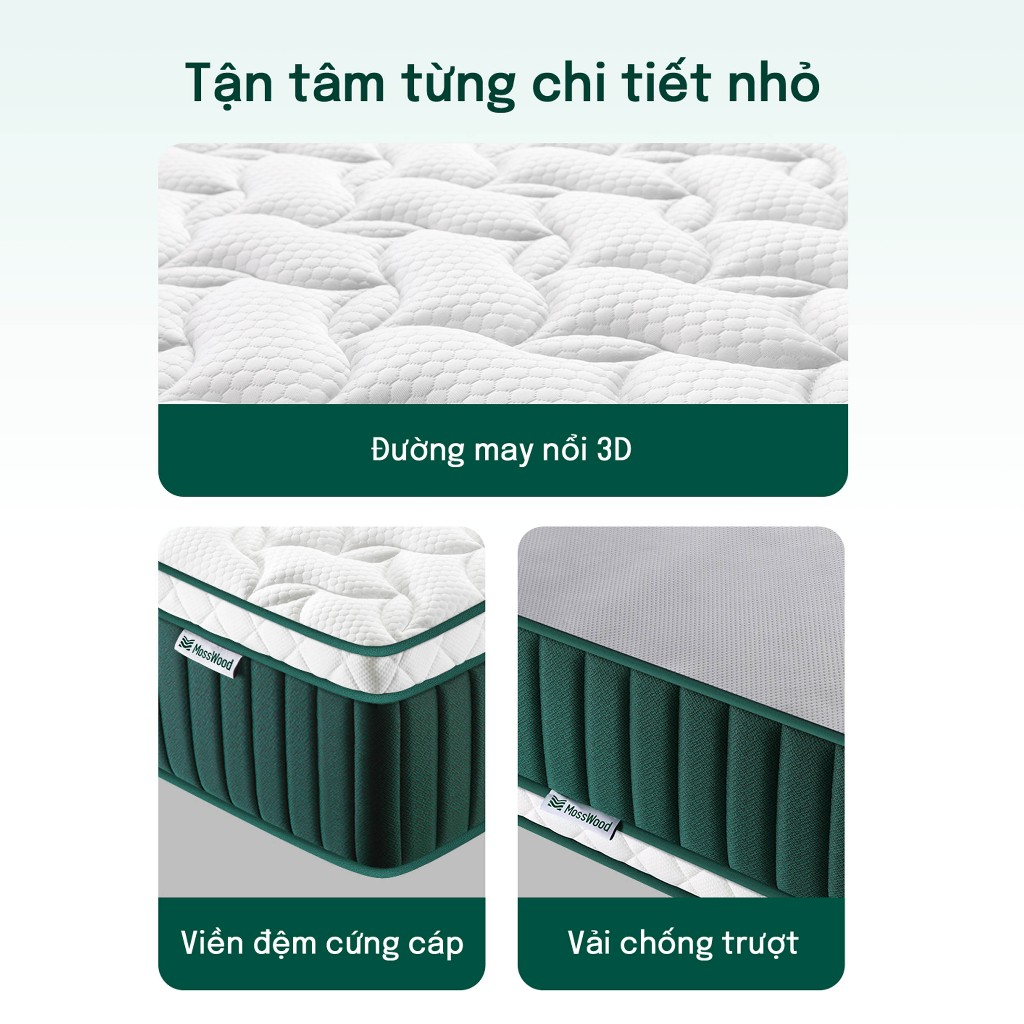 Nệm Lò Xo Túi Độc Lập MOSSWOOD Mát Lạnh - Vải Ice-Silk & Gel Foam Thoáng Khí 25cm