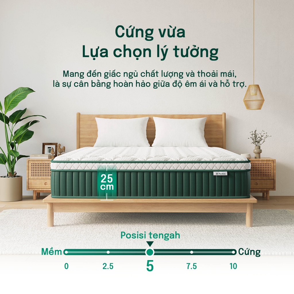 Đệm Lò Xo MossWood - Chống Rung 100% - Không Ảnh Hưởng Người Dịnh - Cố Định Biên Không Sụp
