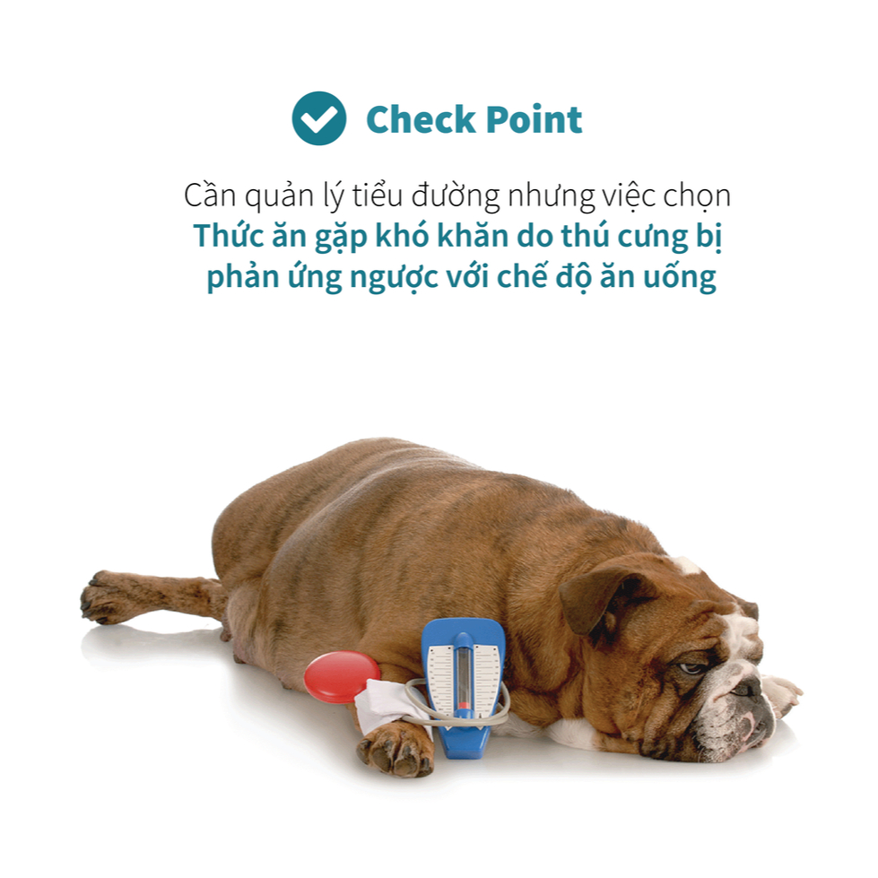 DR.HEALMEDIX HYPOALLERGENIC DIABETIC - Thức Ăn Hạt Cho Chó Quản Lý Tiểu Đường , Táo Bón  Túi 1.5KG