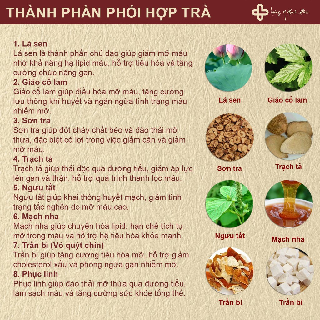 Trà Thảo Mộc Hỗ Trợ Giảmỡ Máu - Trà Tiêu Huyết Đàm Hỗ Trợ Giảmỡ Máu