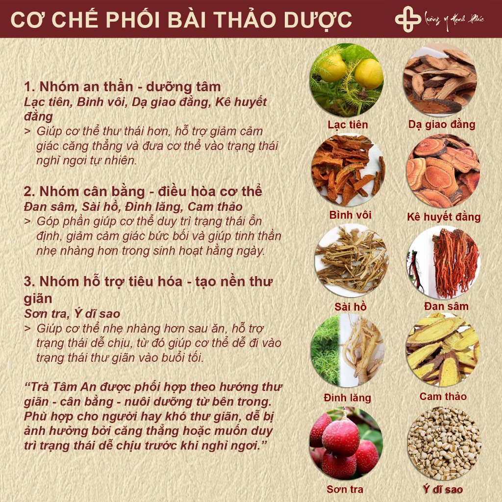Trà Ngủ Ngon Tâm An - Hỗ Trợ Thư Giãn - Trà Ngủ Ngon Tâm An (Đau Đầu