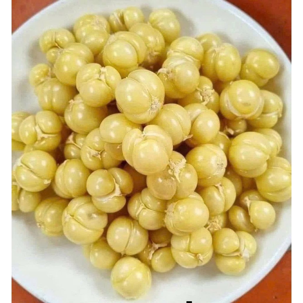 Bầu Giống Dâu Da Thái Ngọt, Ghép nhanh ra quả, Chất Lượng Cao