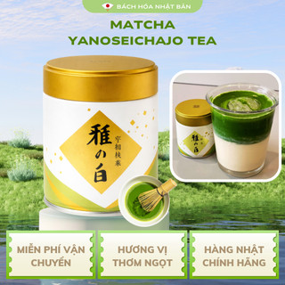 Bột Matcha YanoSeichajo Tea Trà Truyền Thống Nhật Bản 40g Hương Hoa Cỏ Vị Thơm Ngọt Unami Đậm Đà M24