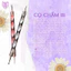 Set 5 Cọ Chấm Bi Hai Đầu Cán Nhựa Mary Artistry Đủ Size Vẽ Nail Hai Đầu Chuyên Dùng