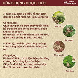 Trà Thanh Niệu - LụcBìnhOrganic - Phối hợp các thảo mộc kim ti.ền thảo, Mã đề, Râu ngô, Râu mèo...