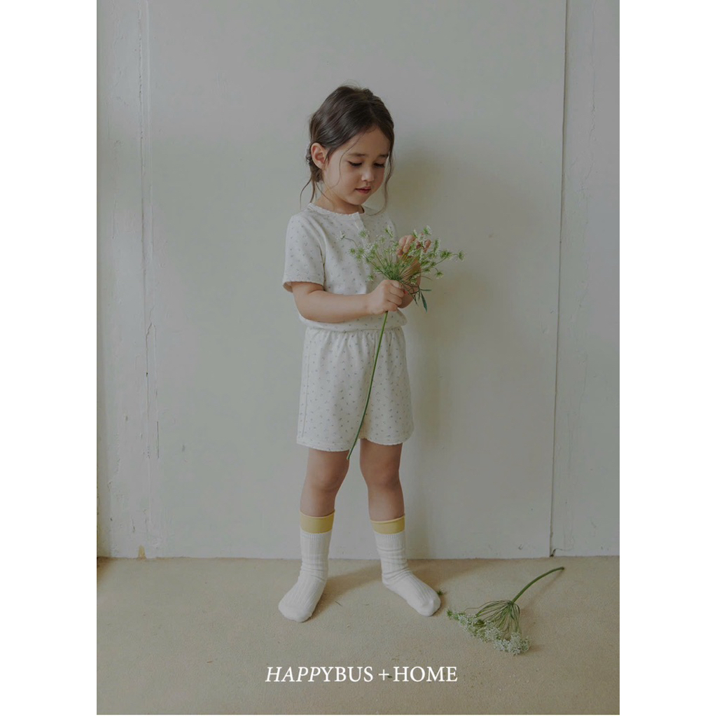 Bộ Cộc Happybus Home xuất dư hàn xịn hàng mới xuất
