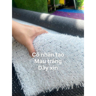 Thảm cỏ nhân tạo màu trắng Combo 10m2(2m*5m),trải phòng Gym, sân vườn, sân trường bền đẹp