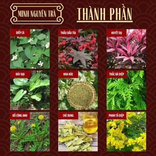 Trà Trĩ Táo Bón - Minh Nguyên - Trĩ nội, trĩ ngoại, táo bón, ngứa đau rát xuất huyết - Túi 50 lọc