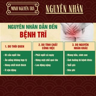 Trà Trĩ Táo Bón - Minh Nguyên - Trĩ nội, trĩ ngoại, táo bón, ngứa đau rát xuất huyết - Túi 50 lọc