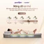 Nệm Lò Xo Vua Nệm Goodnight Sleep Wave Hybrid 20cm, Đệm Lò Xo Khách Sạn, Nệm hè