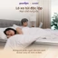 Nệm Lò Xo Vua Nệm Goodnight Sleep Wave Hybrid 20cm, Đệm Lò Xo Khách Sạn, Nệm hè