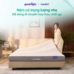 Nệm Foam Vua Nệm Goodnight Massage 2.0 (Hachi) 15cm, Đệm Foam Massage Toàn Thân Nâng Đỡ — ảnh 3