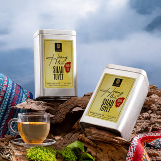 Hoàng trà Shan Tuyết Huồi Tụ - 100g -  Đặc sản núi rừng xứ Nghệ