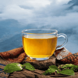 Hoàng trà Shan Tuyết Huồi Tụ - 100g -  Đặc sản núi rừng xứ Nghệ