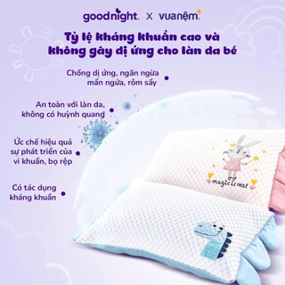 Gối Ngủ Cho Bé Tencel Vua Nệm Goodnight Bebe, Gối Điều Hòa Trẻ Em Mềm Thấm Hút Mồ Hôi 45x30cm