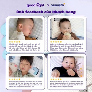 Gối Ngủ Cho Bé Tencel Vua Nệm Goodnight Bebe, Gối Điều Hòa Trẻ Em Mềm Thấm Hút Mồ Hôi 45x30cm