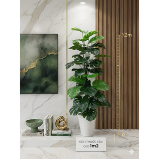 cây trầu bà nhân tạo cao 1m2. cây giả trang trí nhà cửa và nơi làm việc