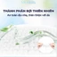 Tushie Treats 200 rút khăn mặt khô nhiều cách sử dụng, chất liệu mềm mại, thiết kế treo tường, vệ sinh, dễ sử dụng