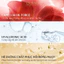 Kem xả Dưỡng tóc bóng mượt Premium Moist Tsubaki 160g