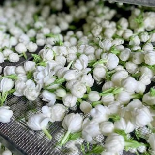 Trà Cam Quế Hoa Nhài - Hộp 30 Gói TẶNG BÌNH - Giảm Stress, Đau Họng, Giữ Ấm Cơ Thể, An Thần, Tỉnh Táo