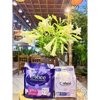 [Tặng quà ] (Combo 5 gói) Bịch Băng Vệ Sinh Cohee Ngày/Quần Mỏng Nhẹ Thấm Hút Tốt Chống Tràn size S-m -L-XL
