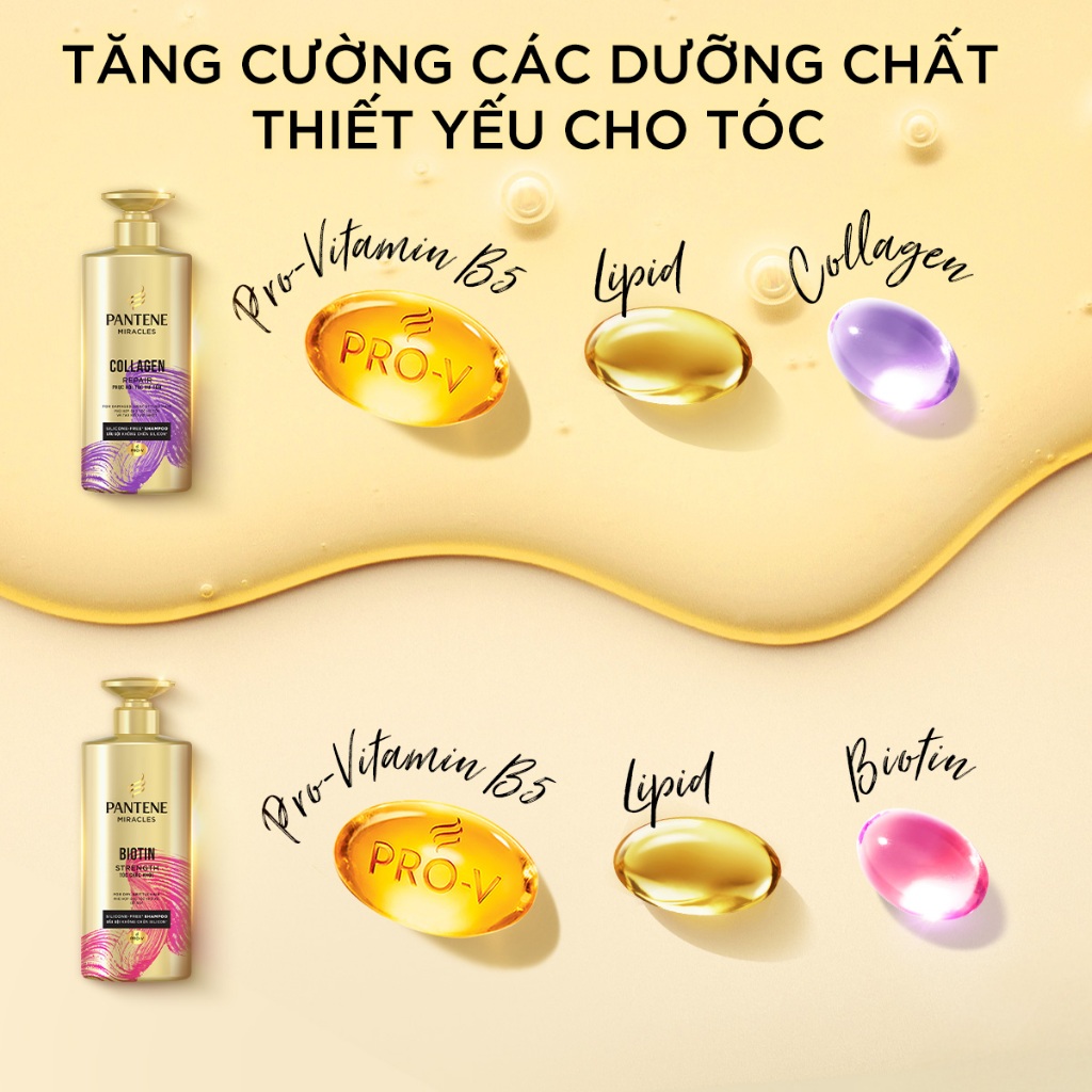 [LS] Dầu Gội PANTENE MIRACLES 0% Silicon & Bổ Sung Dưỡng Chất Cho Tóc Chắc Khỏe/ Phục Hồi Hư Tổn - Chai 300ML/500ML | BigBuy360 - bigbuy360.vn